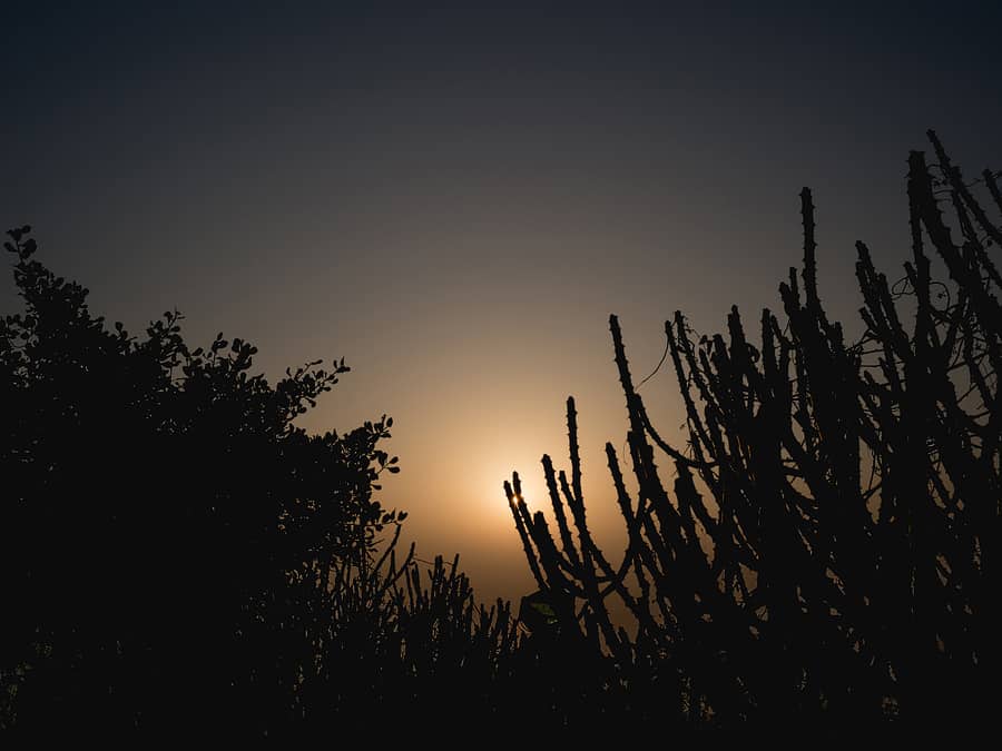 india travel photography0023