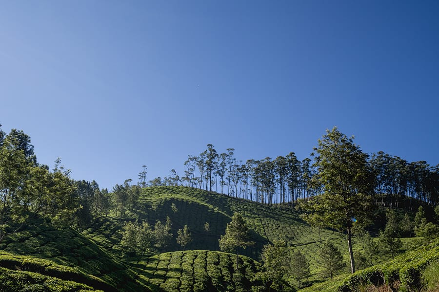 india travel photography0047