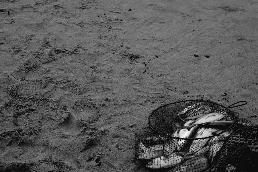 india travel photography0075