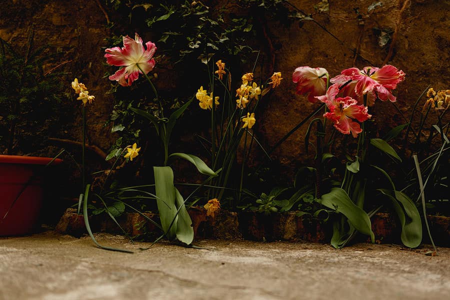 lake como wedding