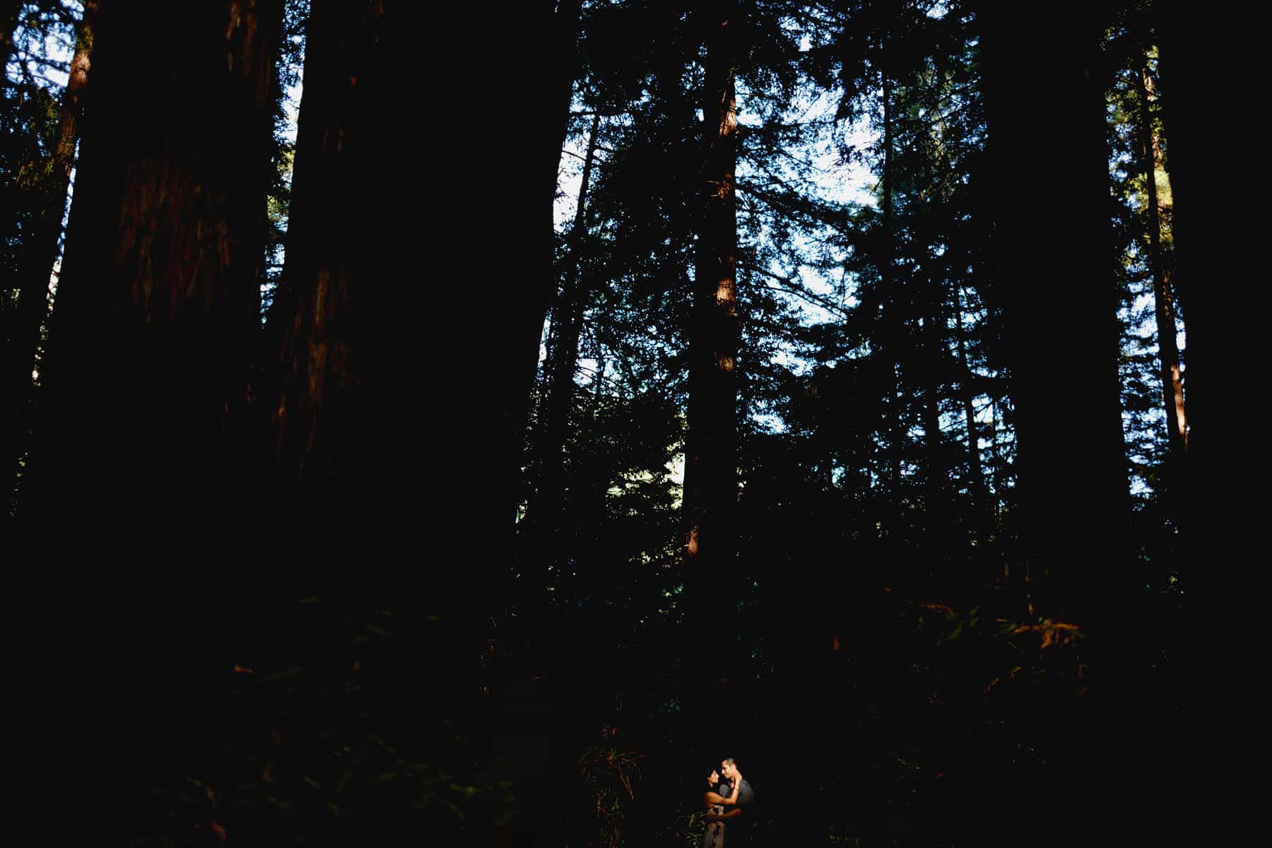 big sur engagement session