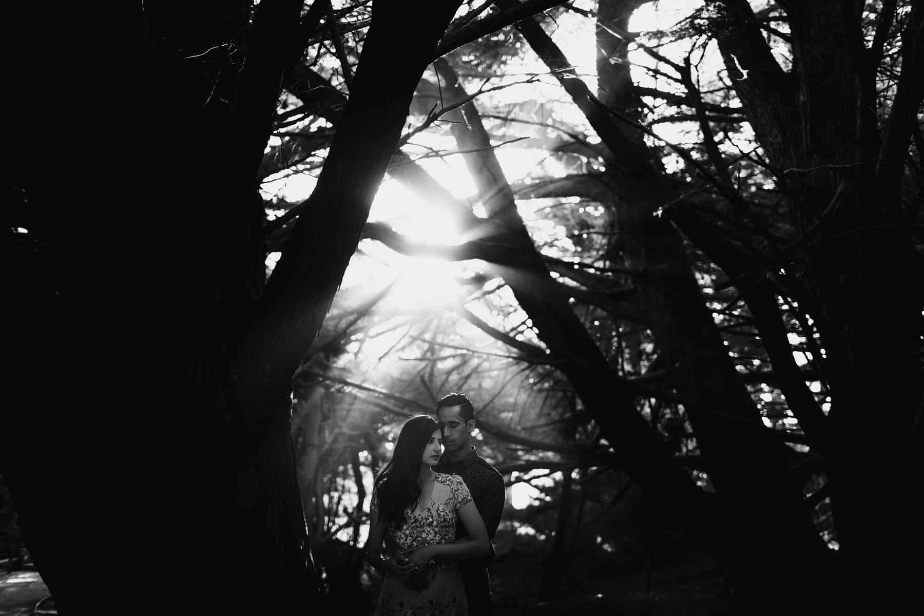 big sur engagement session