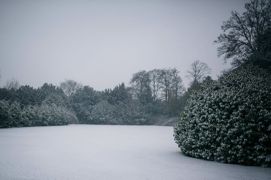 manor-of-groves | wedding | outside