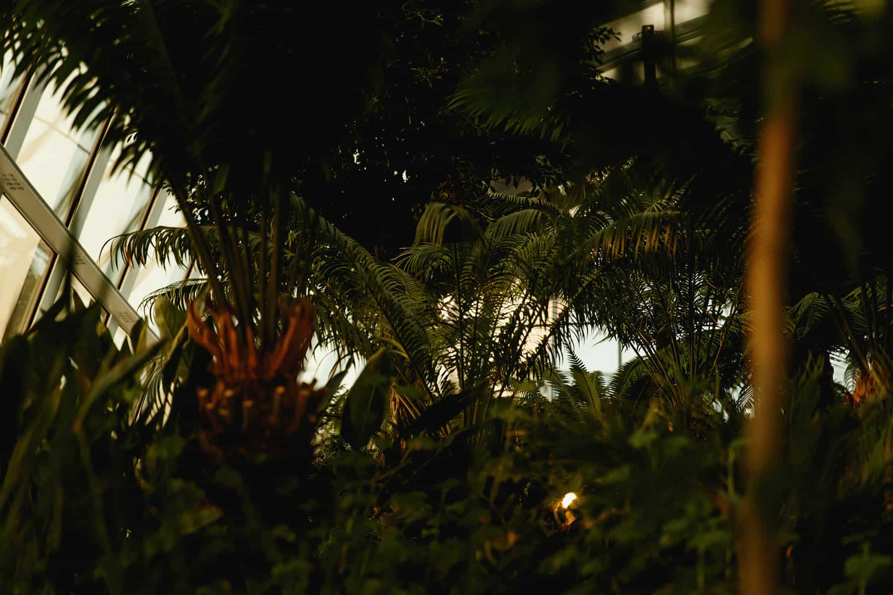 sky garden london wedding