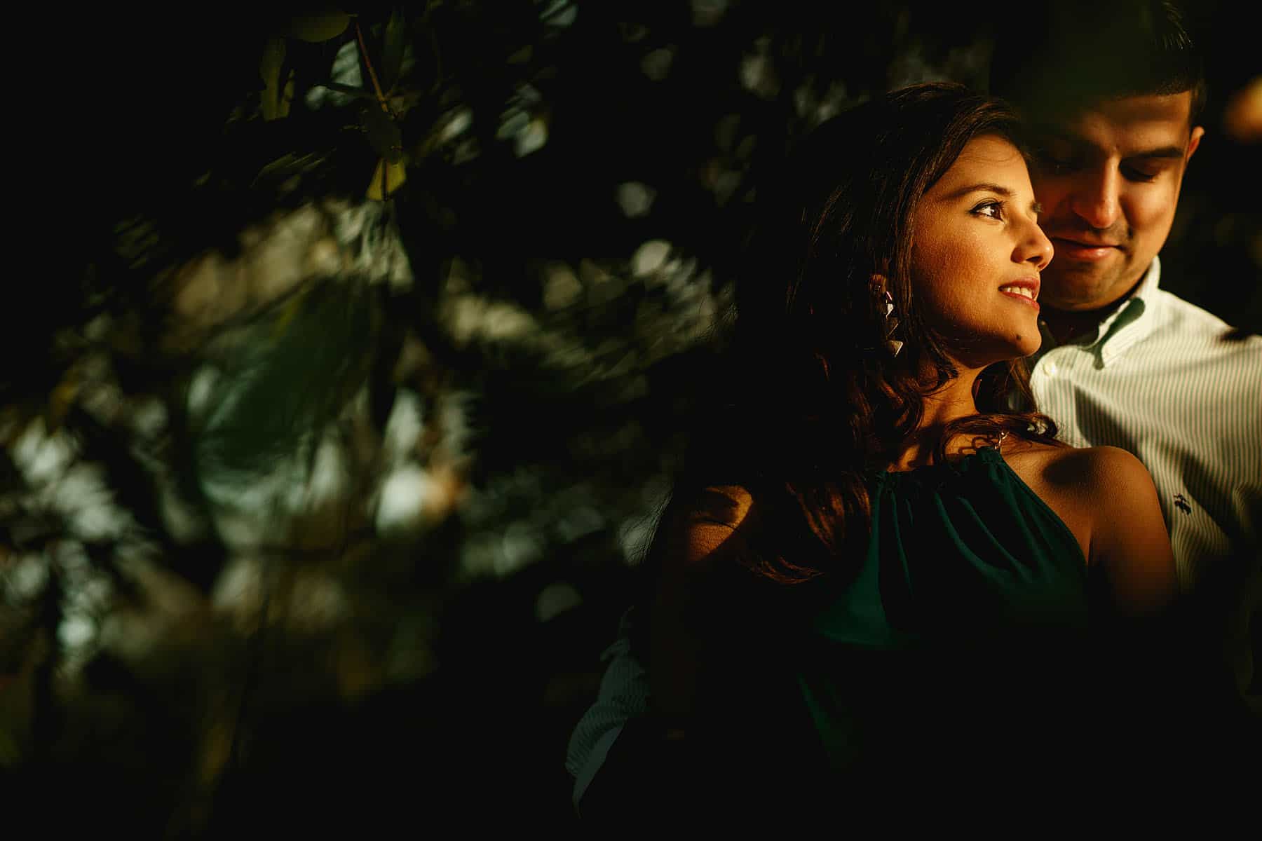 black park denham prewed
