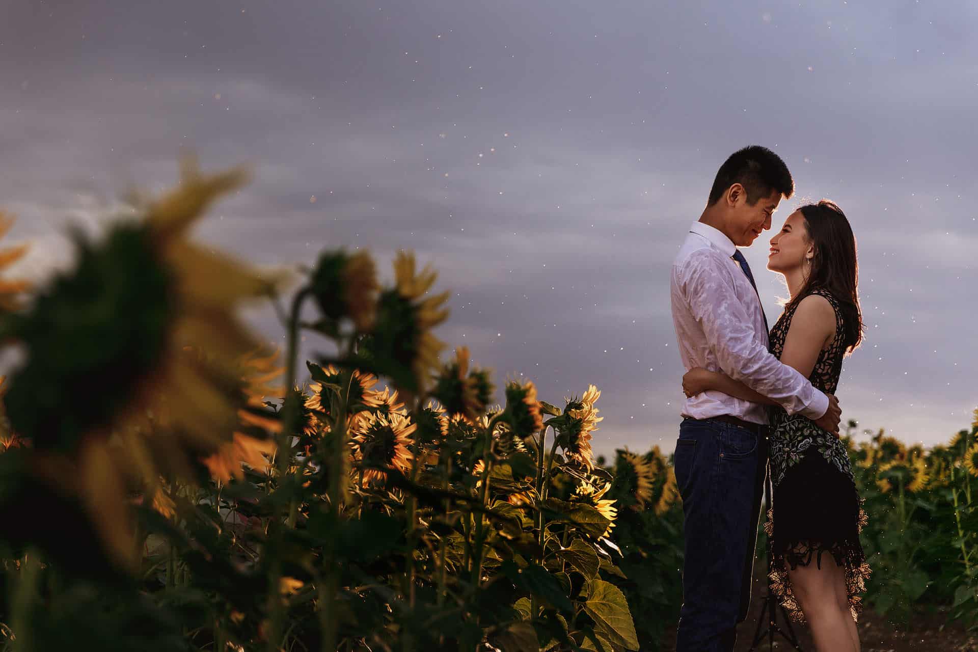 pre wedding shoot asian london