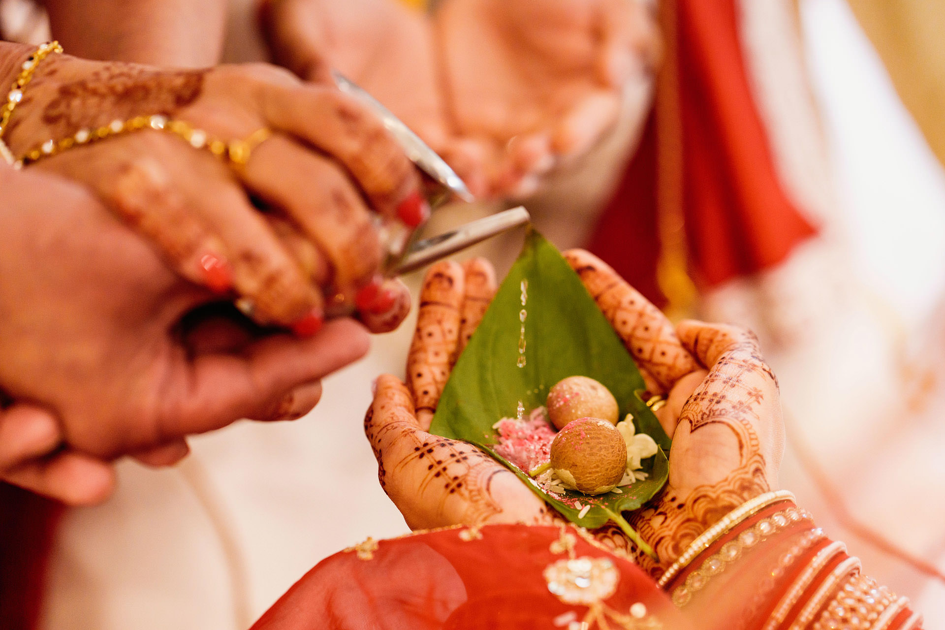 wedd0366