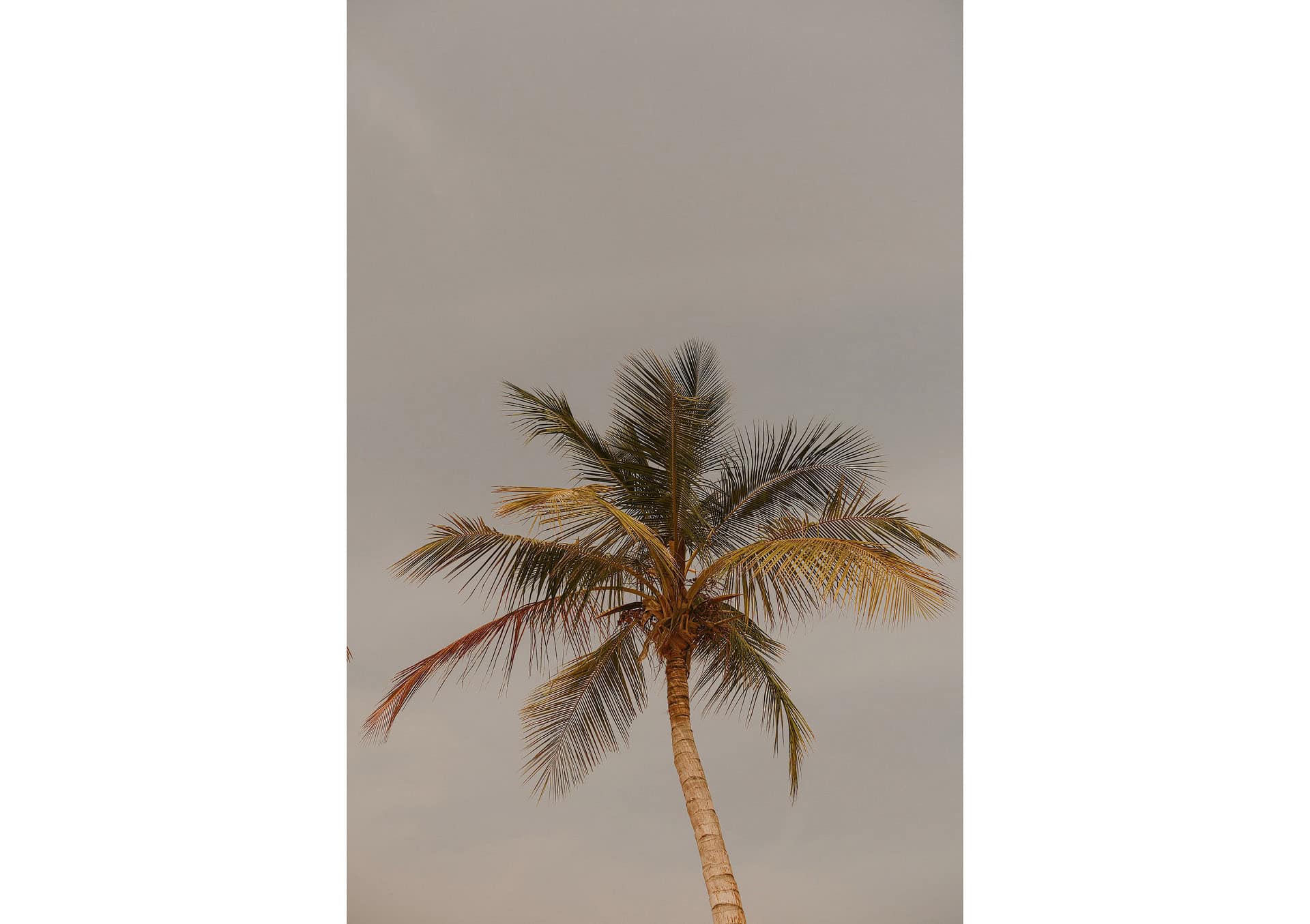 jumeirah muscat bay wedding photography